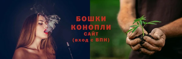 бошки Семилуки