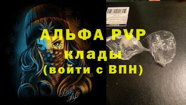 apvp Богданович